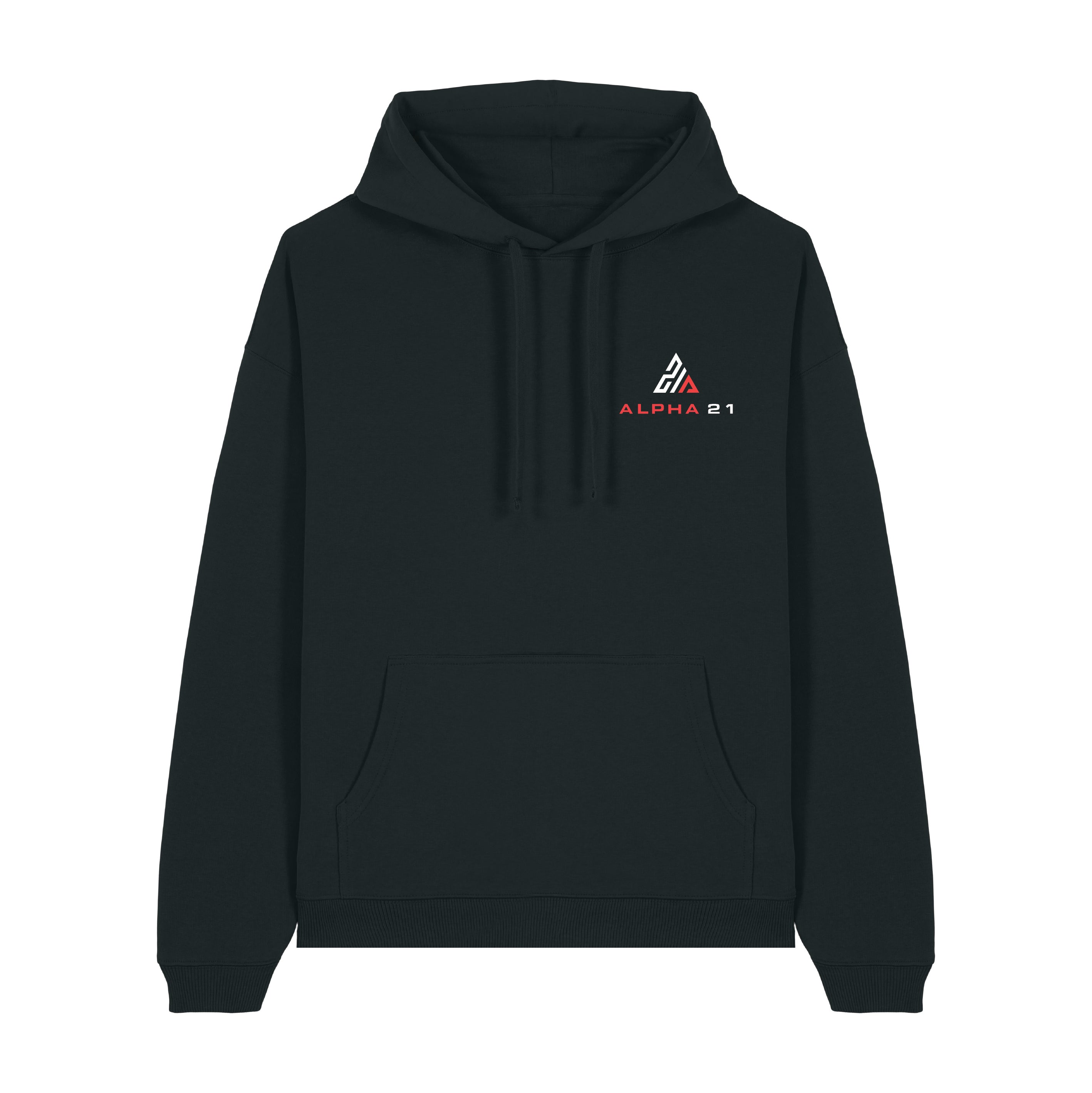Oversized Premium Hoodie Embroidered (Alpha 21)